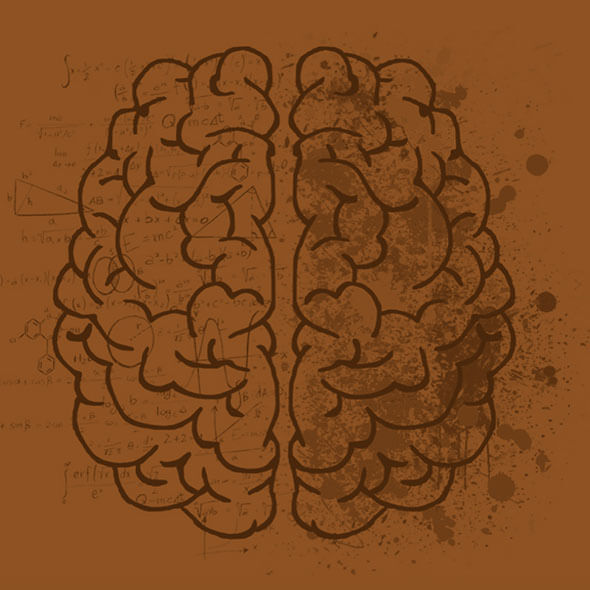 A brown drawing of a brain with some writing on it
